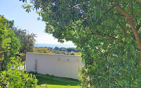Villa Chantoiseau: Azul, Tiempo De Día, Hoja, Verde, Rama, Vegetación, Arbusto, El Terreno Del Lote, Jardín, Sombra