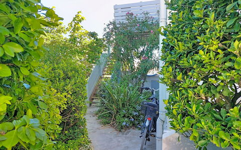 Mimizan 314: Verde, Hoja, Arbusto, Luz De Sol, Plantas Leñosas, Sombra, Jardín, Cobertura, Hojas Perennes, Pasarela