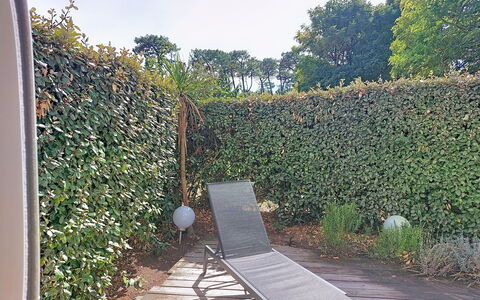 Artémis: Arbusto, Cobertura, Cobertura Del Suelo, Jardín, Sombra, Hojas Perennes, Patio Interior, Hierba