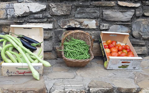 Casa Ilaria - Diano Marina: Comida, Ingrediente, Los Alimentos Naturales, Madera, Espacio Publico, Hierba