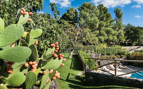 Eden Retreat: Nube, Planta, Cielo, Planta De La Comunidad, Botánica, Hoja, Vegetación, Árbol, Paisaje Natural, Biome