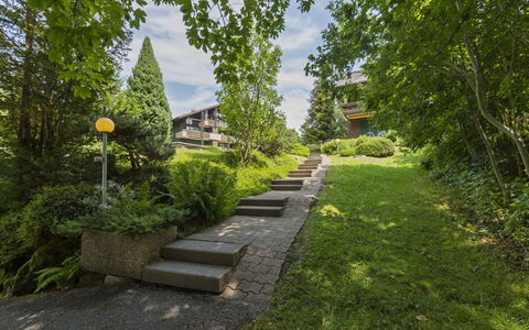 Rehli: Verde, Arbusto, Jardín, Cobertura Del Suelo, Escalera, Primavera, Pasarela, Paisajismo, Césped, Yarda