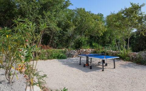 Chiara: Vegetación, Reserva Natural, Propiedad, Paisaje Natural, Mesa, Árbol, Botánica, Planta De La Comunidad, Jardín, Bienes Raíces