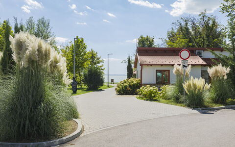 Piccola: Arbusto, Jardín, Entrada De Coches, Paisajismo, Pasarela, Sombra, Suburbio, Yarda