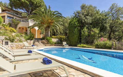 Venecia: Piscina, Recurso, Eco Hotel, Inmuebles, Sombra, Hacienda, Zona Tropical, Villa, Paisajismo, Losa