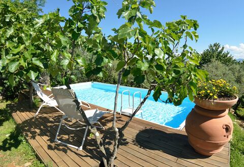 Bettina!: Propiedad, Árbol, Planta, Bienes Raíces, Ocio, Vacaciones, Casa, Piscina, Flor, Inmuebles