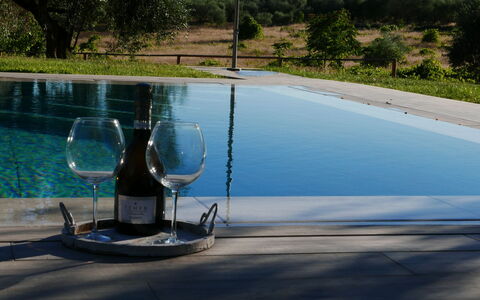 Agriturismo La Pieve: Agua, Piscina, Árbol, Ocio, Vacaciones, Fuente De Agua, Paisaje, Planta, Vaso, Casa