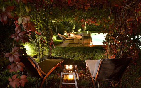 Villa Magnolia: Encendiendo, Ligero, Noche, Árbol, La Iluminación Del Paisaje, Hoja, Cielo, Planta, Casa, Casa