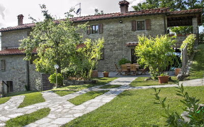 Outdoor view and garden
