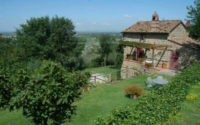 Garden and outdoor view
