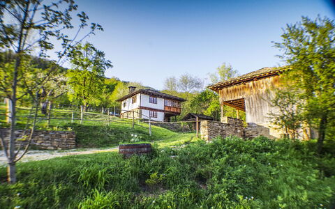 Karashka: Casa, Propiedad, Vegetación, Casa, Verde, Bienes Raíces, Tiempo De Día, Arquitectura, Árbol, Edificio