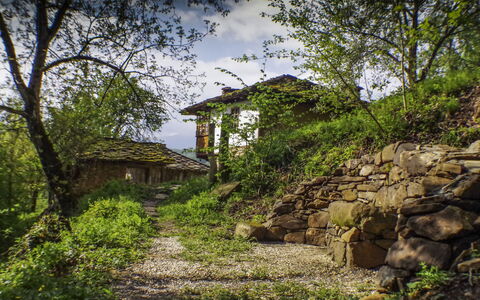 Karashka: Vegetación, Paisaje Natural, Naturaleza, Verde, Árbol, Casa, Pared, Pared De Piedra, Área Rural, Klippe