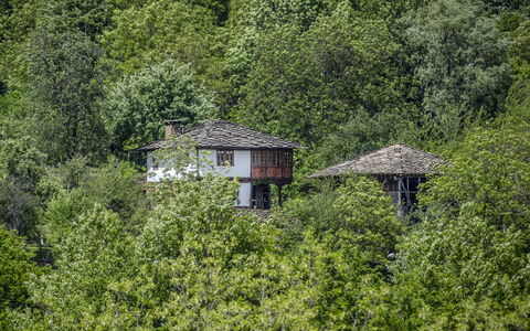 Karashka: Vegetación, Verde, Casa, Propiedad, Árbol, Biome, Reserva Natural, Selva, Cabaña, Hoja