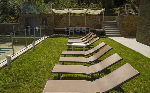 Villa Degli Ulivi: Hierba, Césped, Jardín, Arquitectura, Botánica, Patio Interior, Yarda, Casa, Diseño, Paisajismo