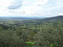 Panoramic view