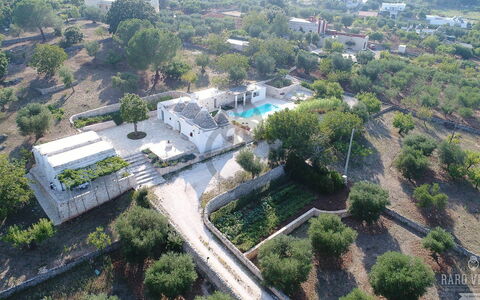 Trullo Oak: Planta, Tiempo De Día, Edificio, Árbol, Diseño Urbano, El Terreno Del Lote, Barrio, Barrio Residencial, Paisaje, Bienes Raíces