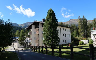 Rustica