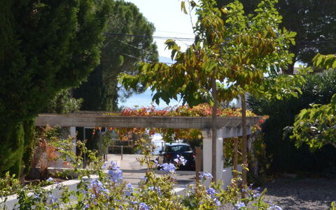 Llançà 381: Puente, Árbol, Jardín, Botánica, Planta, Primavera, Arbusto, Casa, Flor, Área Rural