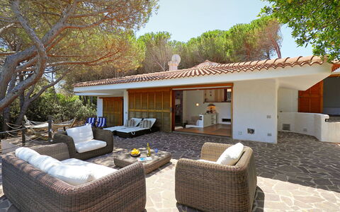 Audarya (Vgm610): Propiedad, Casa, Casa, Edificio, Bienes Raíces, Patio Interior, Patio, Habitación, Inmuebles, Diseño De Interiores