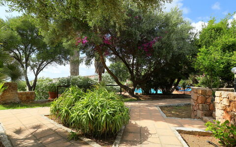 Bouganville: Propiedad, Árbol, Vegetación, Jardín, Bienes Raíces, Botánica, Planta, Casa, Plantas Leñosas, Primavera
