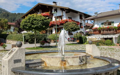 Aschau im Zillertal 485