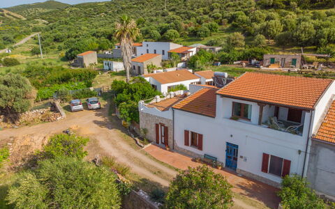 Sibilla: Planta, Edificio, Propiedad, Ventana, Cielo, Árbol, Azur, Casa, Barrio, Barrio Residencial