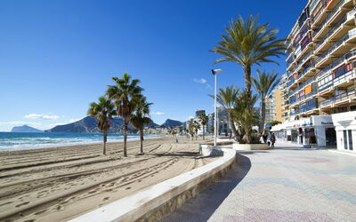 Calpe Calp 925