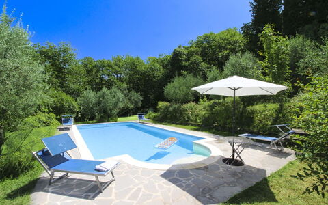 Villa Gioiosa: Piscina, Mueble Para Exteriores, Jardín, Sombra, Recurso, Patio Interior, Eco Hotel, Paisajismo, Silla, Fuente De Agua