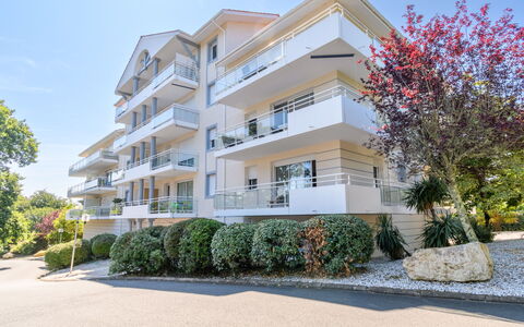 Zéphyr: Planta, Cielo, Edificio, Ventana, Diseño Urbano, Árbol, Barrio Residencial, Fachada, Bienes Raíces