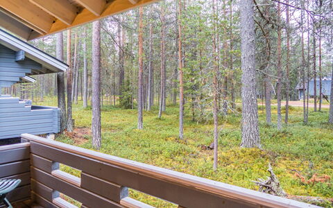 Purnukylä 6: Madera, Vía Muerta, Madera Dura, Manchas De Madera, Tablón, La Luz Del Día