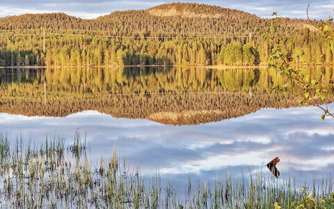 Keloveska: Agua, Los Recursos Hídricos, Cuerpo De Agua, Verde, Naturaleza, Entorno Natural, Paisaje Natural, Banco, Reflexión, Desierto