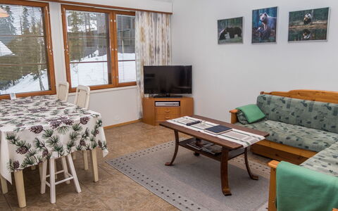 Karhunvartijan Linna B14: Mueble, Diseño De Interiores, Madera, Piso, Suelo, Techo, Habitación, Sofá, Sala, Departamento