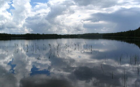 Rantala: Madera, Vía Muerta, Cabaña, Casa, Casa, Tablón, Edificios Del Jardín, Cuarto De Troncos, Madera Dura, Porche