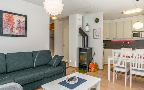Karhunvartijan Kota B1: Mueble, Diseño De Interiores, Piso, Madera, Suelo, Techo, Sofá, Habitación, Sala, Lámpara