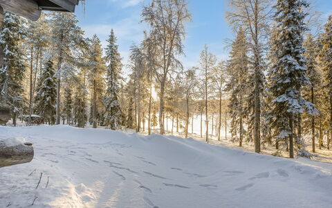 Kuontijärvi a: Rama, Invierno, Nieve, Árbol, Entorno Natural, Madera, Bosque, Congelación, Desierto