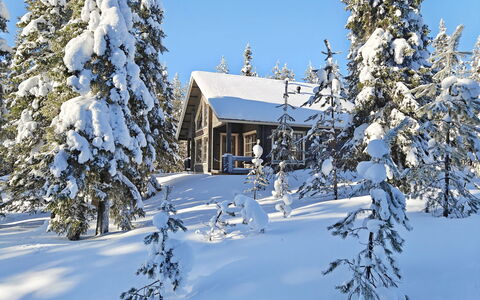 Ihtingin Koskikara: Nieve, Invierno, Árbol, Rama, Madera, Casa, Cabaña, Casa, Techo, Congelación