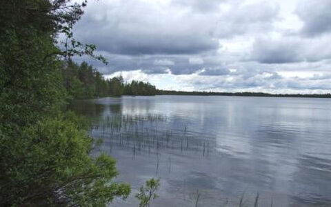 Kumpulahti: Madera, Vía Muerta, Cabaña, Casa, Casa, Tablón, Edificios Del Jardín, Cuarto De Troncos, Madera Dura, Porche