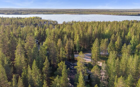 Aspilevi: Árbol, Entorno Natural, Bosque, Paisaje, Ecorregión, Reserva Natural, Los Bosques De Coníferas Tropicales Y Subtropicales