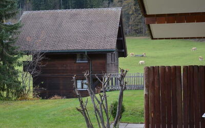 Simmental - Zweisimmen, Berna, Suiza