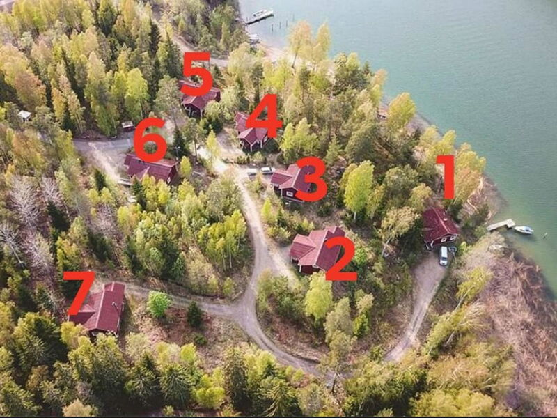 Naurulokki 4