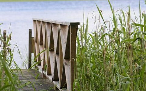 Divaanikivi: Hierba, Casa, Cabaña, El Terreno Del Lote, Casa, Inmuebles, Césped, Vía Muerta, Casa De Campo, Porche