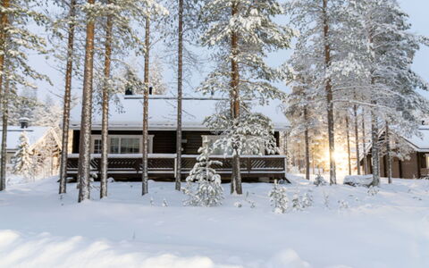 Nurmennunnu: Madera, Nieve, Invierno, Cabaña, Congelación, Casa, Cuarto De Troncos, Alerce, Vía Muerta