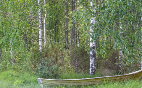 Pilkkaniemi: Cabaña, Casa, Casa, Edificios Del Jardín, Vía Muerta, Cuarto De Troncos, Casa De Campo, Inmuebles, Cobertizo, Yarda