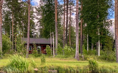 Kallioniemi: Árbol, Paisaje Natural, Banco, Bosque, Planta De La Comunidad, Bosque, Cabaña, Lago