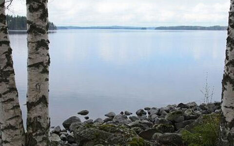 Mäntyniemi: Árbol, Banco, Casa, Cabaña, Lago, Estanque, Bosque, Cuarto De Troncos