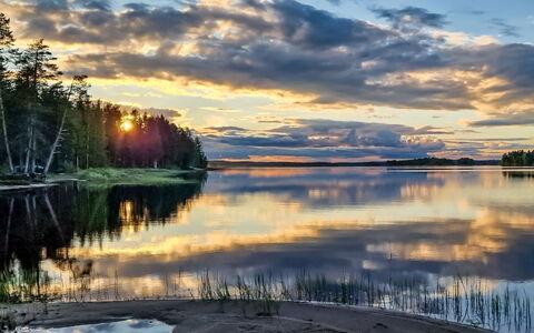Villa Savonia: Árbol, Banco, Casa, Cabaña, Lago, Estanque, Bosque, Cuarto De Troncos