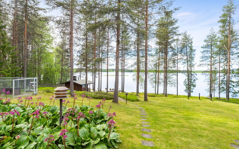 Järvelä: Hierba, Verde, Arbusto, Jardín, Paisaje, El Terreno Del Lote, Cobertura Del Suelo, Primavera, Paisajismo