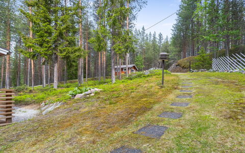 Järvelä: Vegetación, Paisaje Natural, Bosque, Arbusto, Planta De La Comunidad, Paisaje, Arboleda, Cobertura Del Suelo