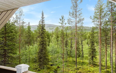 Kiela 1: Madera, Cabaña, Cuarto De Troncos, Bosque, Cobertizo, Edificios Del Jardín, Alerce, Bosque, Manchas De Madera