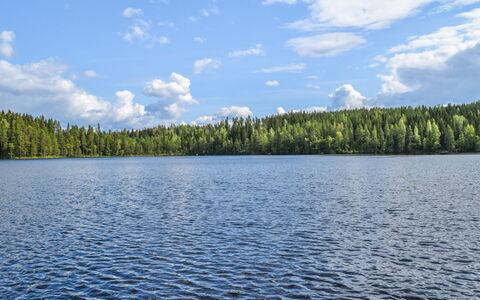 Lekojärven Herra: Cabaña, Casa, Casa, Edificios Del Jardín, Vía Muerta, Cuarto De Troncos, Casa De Campo, Inmuebles, Cobertizo, Yarda
